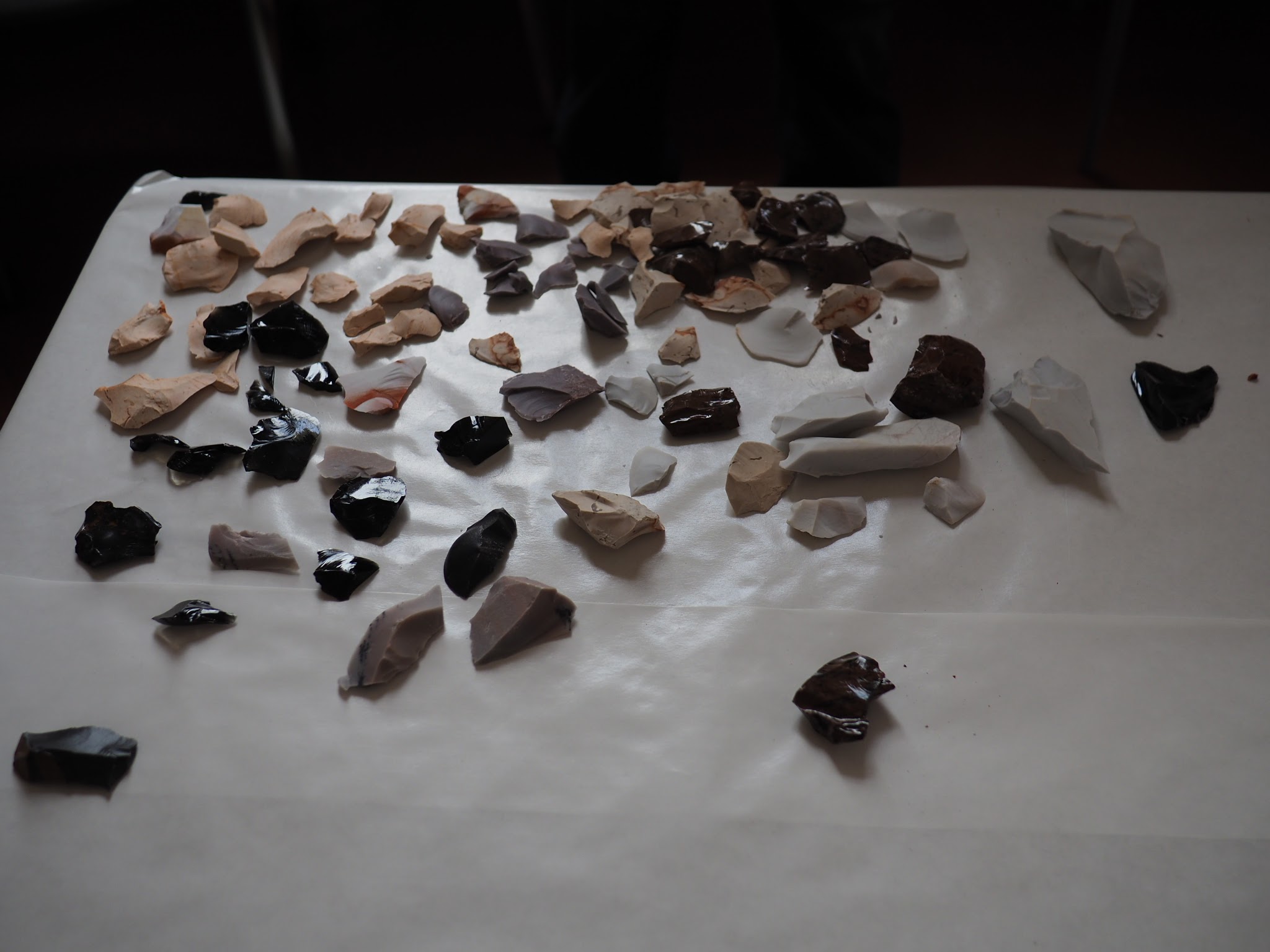 An initial sorting of potential stone tools.